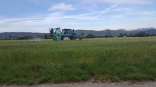Phytos : des impacts avérés sur la biodiversité et ses services rendus