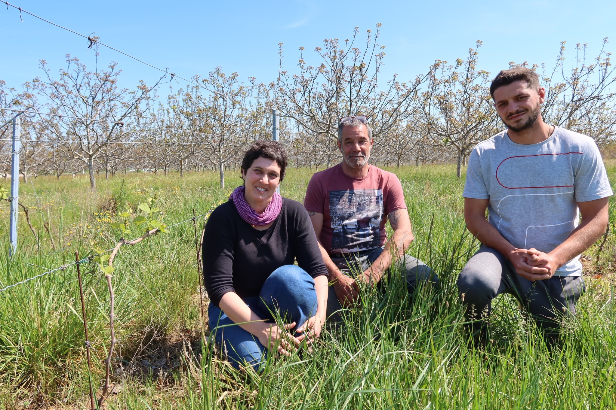 Domaine des Granges : le pari des cépages résistants