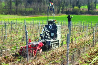 Le désherbage des vignes s’adapte  à la réduction des intrants