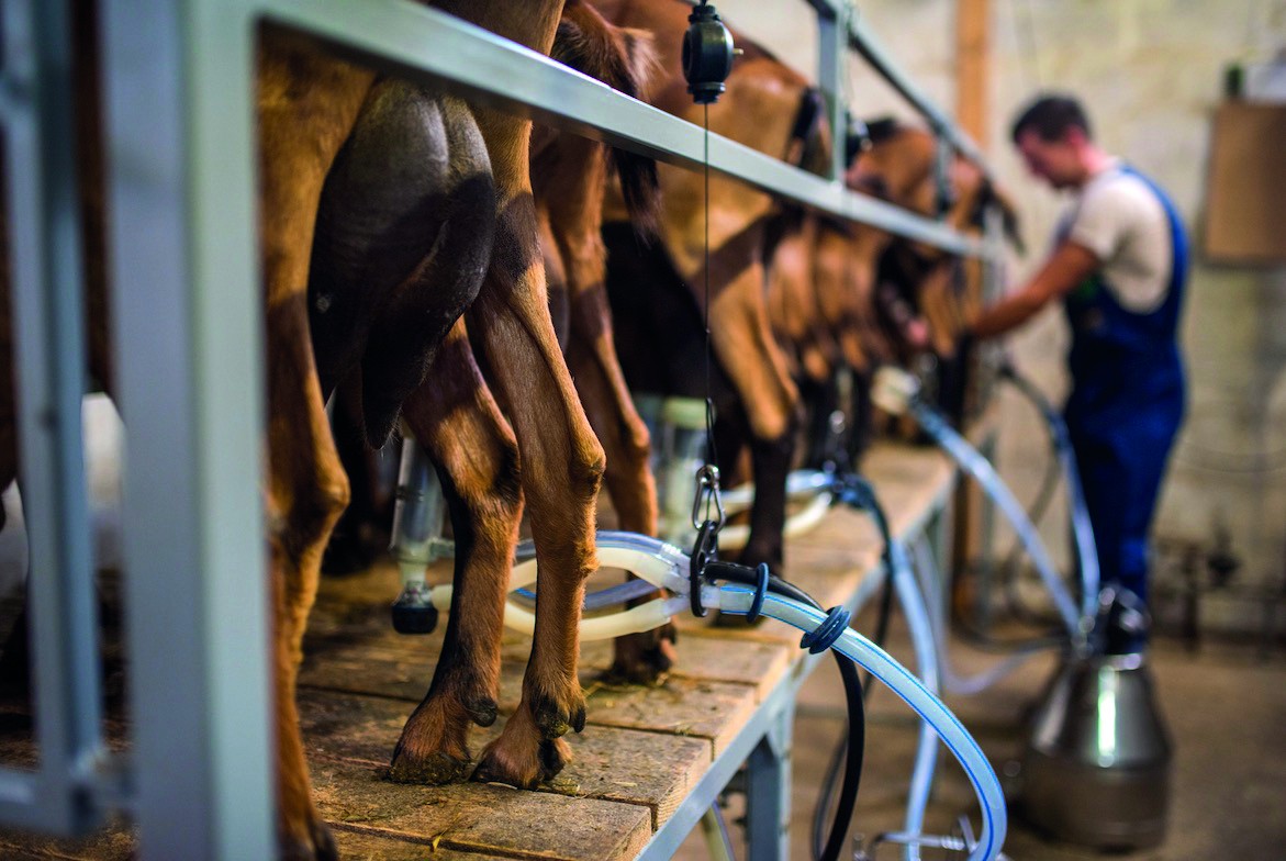 Des hausses de prix producteurs demandées