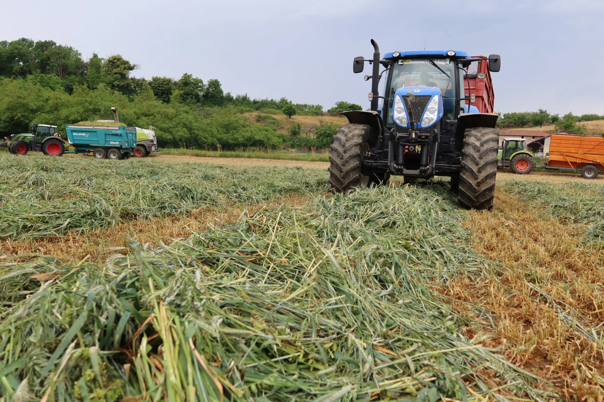 100 ha de SAU pratiquement sans irrigation