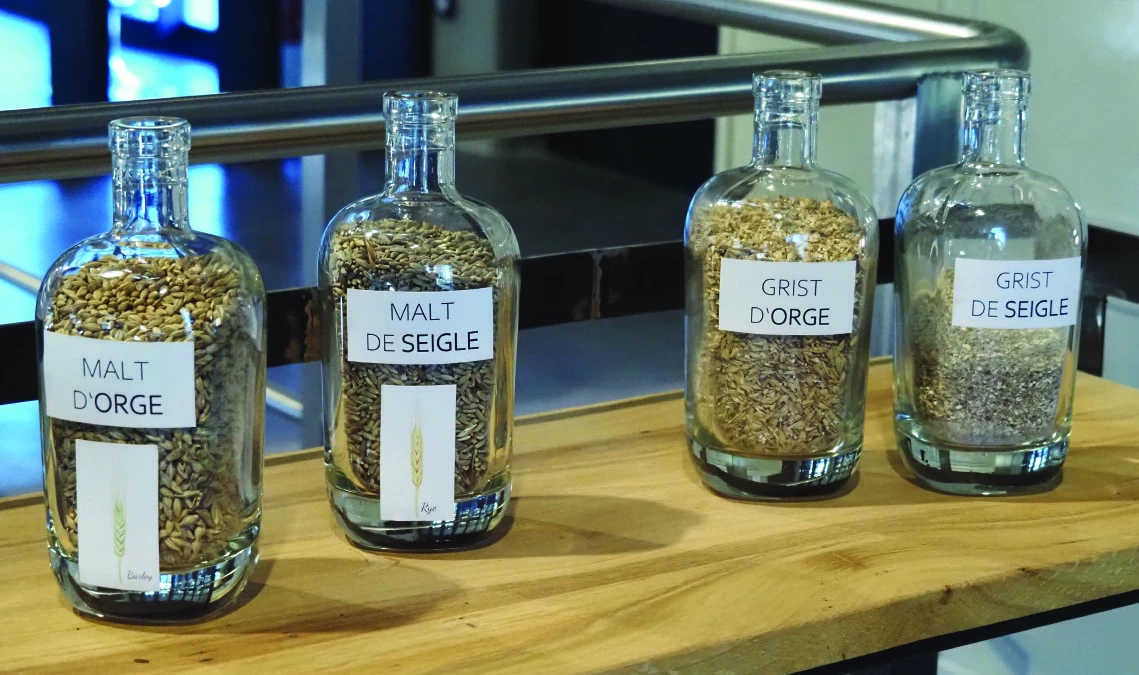 Zoom sur Graines de cimes
