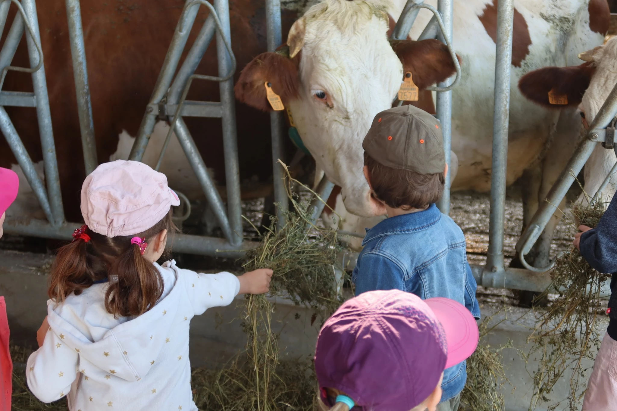 Au forfait pour les petits effectifs
