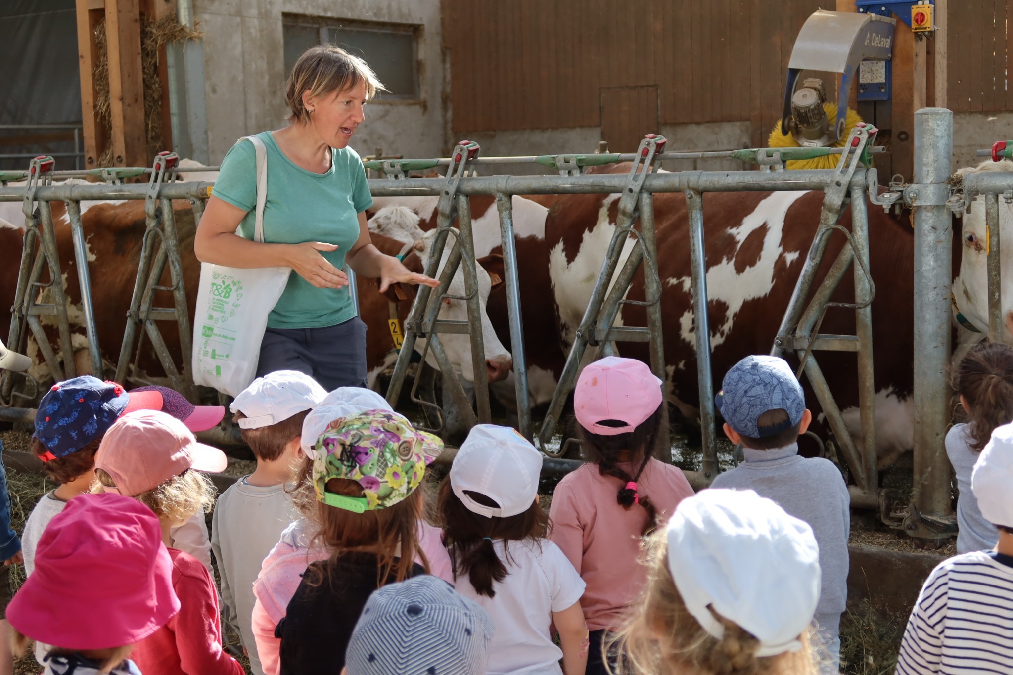 Accueil pédagogique : quand l’école vient à la ferme
