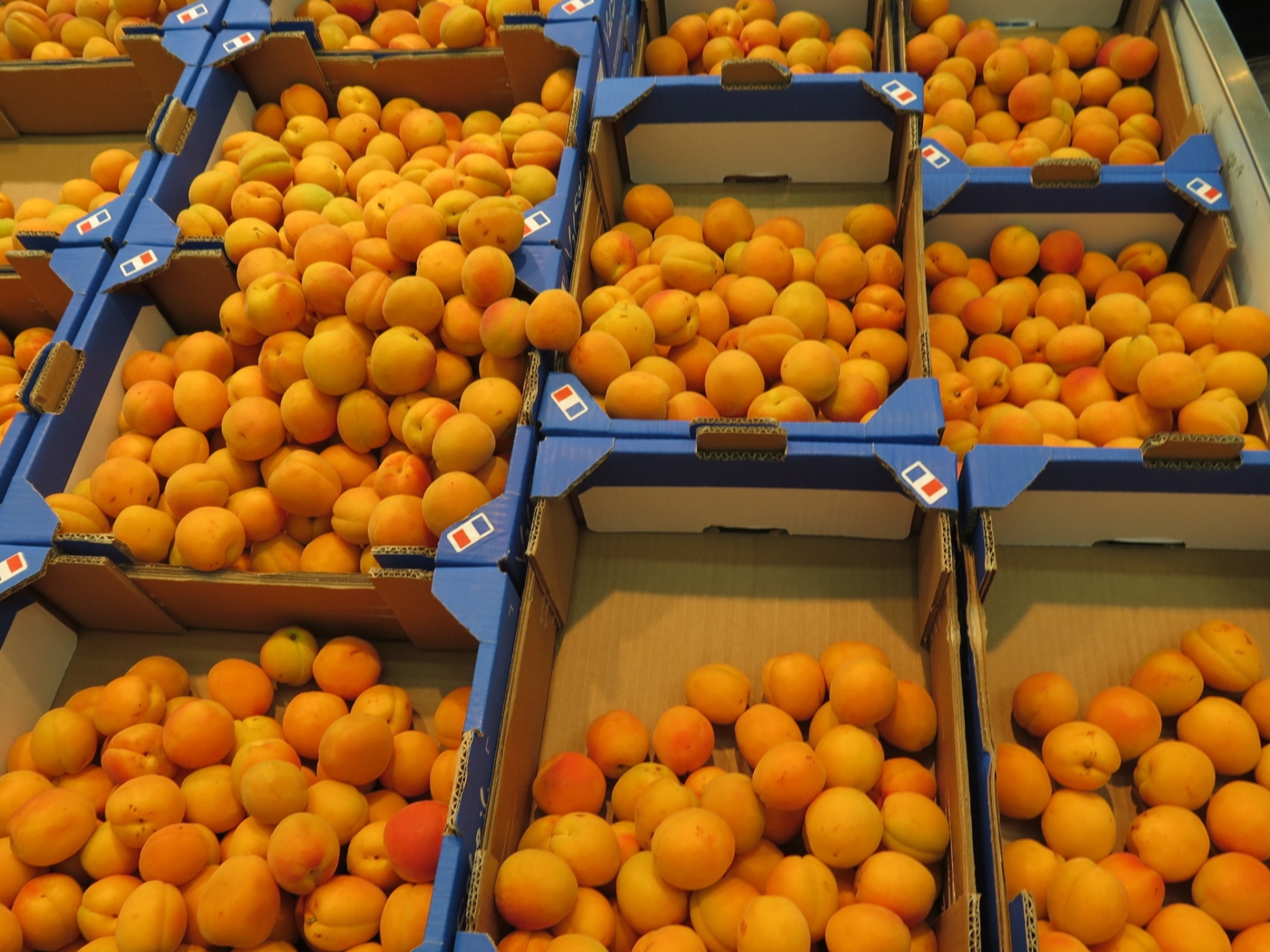 Fruits à noyau : les producteurs dénoncent les opérations «prix coûtants» des GMS
