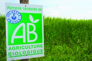 Un nouveau plan régional à fort enjeu pour la bio