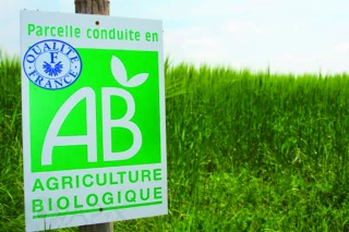 Un nouveau plan régional  à fort enjeu pour la bio