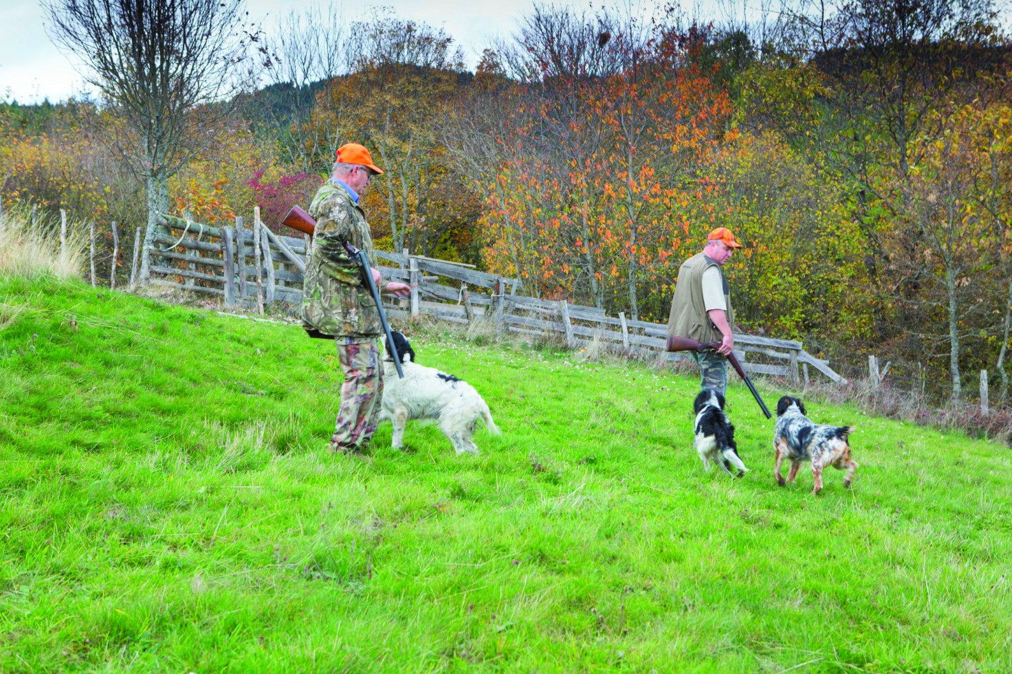 3,2 millions d’euros en faveur du nouveau plan de chasse