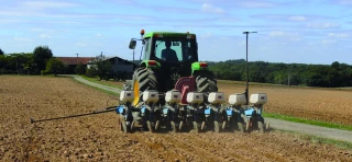 Colza 2023 : démarrer l’implantation au lendemain de la moisson