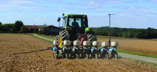Colza 2023 : démarrer l’implantation  au lendemain de la moisson