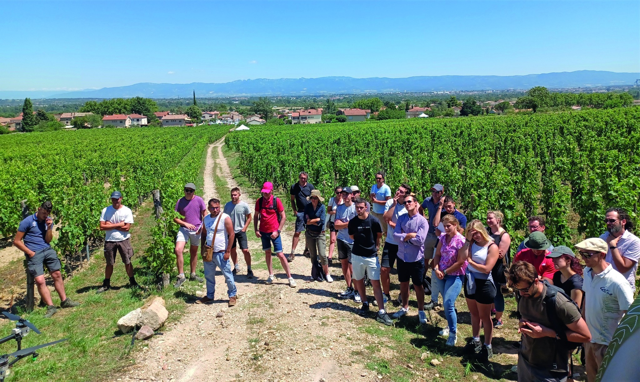 Quel vignoble pour quel climat ?