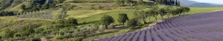 Des vidéos promeuvent  les productions agricoles