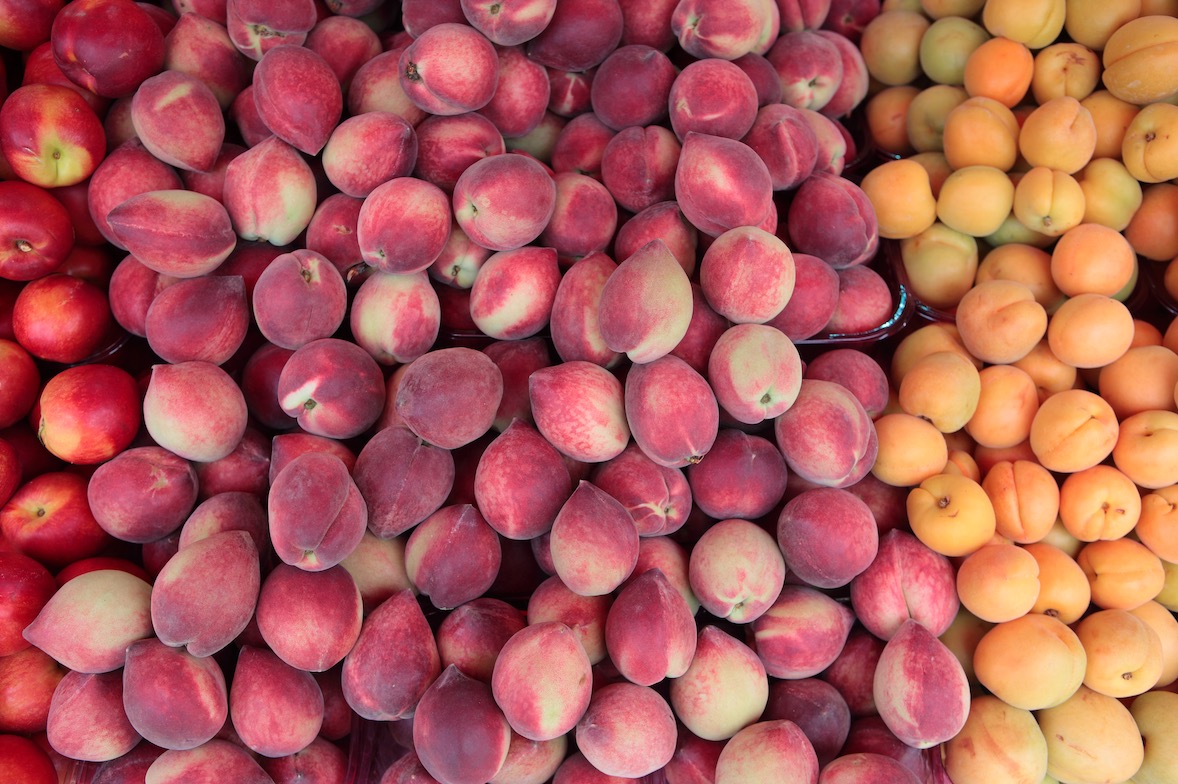 Les producteurs de fruits à noyaux dénoncent la politique du « moins-disant » des distributeurs