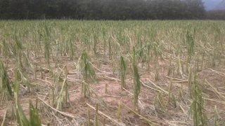 Tension sur la gestion publique des risques en 2021