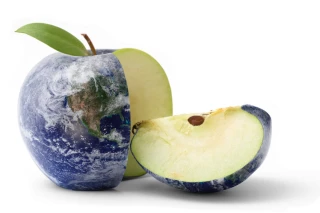 Jour de dépassement de la Terre : la faute à l’alimentation ?
