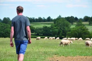 Accompagner au mieux  les porteurs de projet