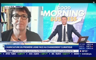 Sécheresse : la FNSEA appelle à "sauver le soldat agriculture"
