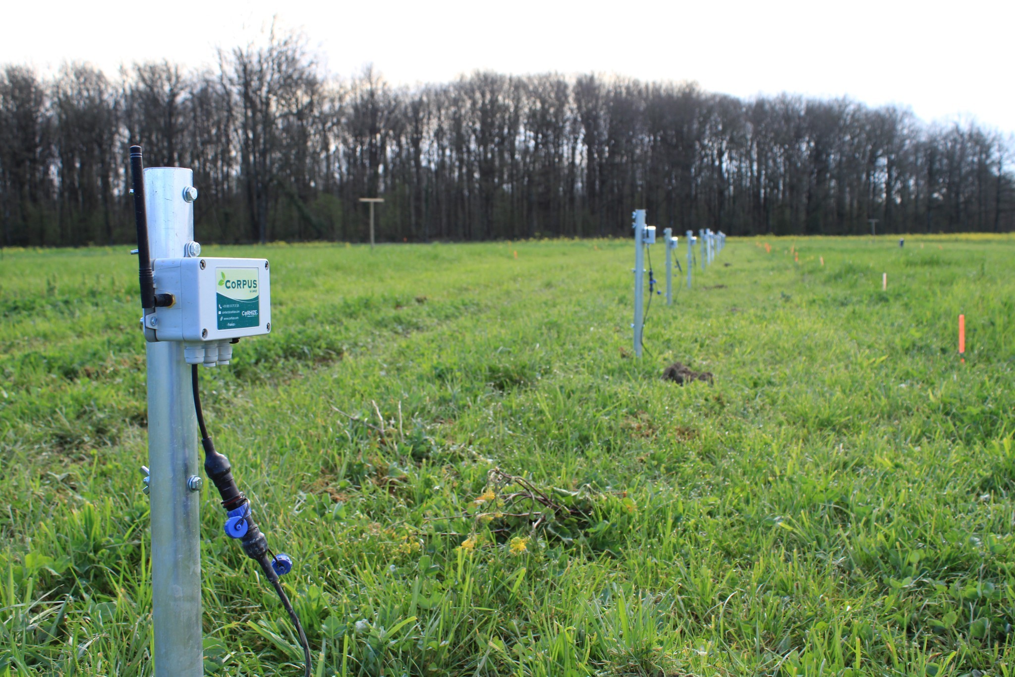 Arroser ses prairies pour faire face au stress hydrique ?