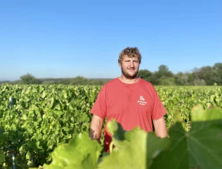 Vendanges : une première édition morose pour Cyprien Feschet