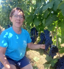 Pénurie de main-d’œuvre : un projet pour la qualification et l’insertion en agriculture