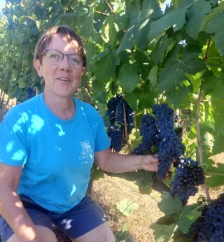 Pénurie de main-d’œuvre : un projet pour la qualification et l’insertion en agriculture