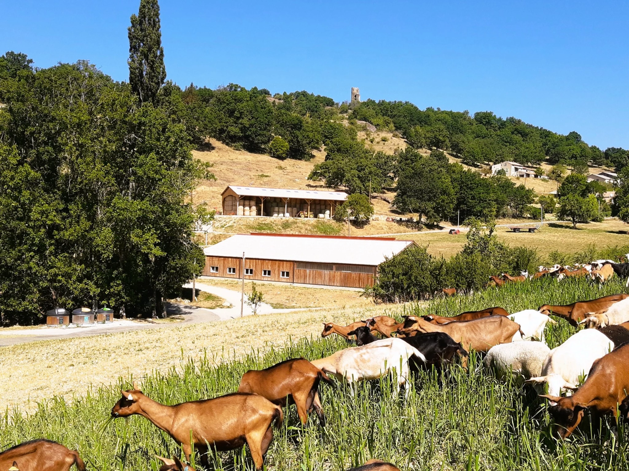 Une chèvrerie et un bâtiment  de stockage tout neufs
