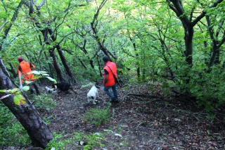Chasse : un début  de saison sous pression