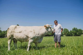 David Rivière : “ La filière allaitante est dans une bonne dynamique ”