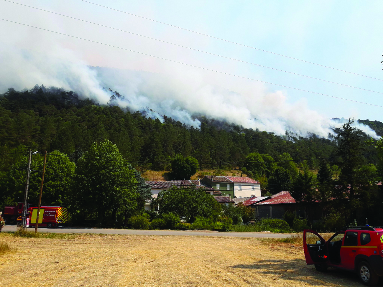 Face aux flammes, la nécessité d’une gestion accrue des forêts