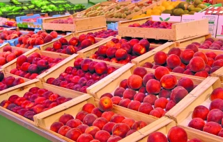 Pêches et nectarines : marché actif et prix correct