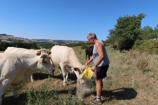Élevage et noix : s’adapter dans un contexte de plus en plus compliqué