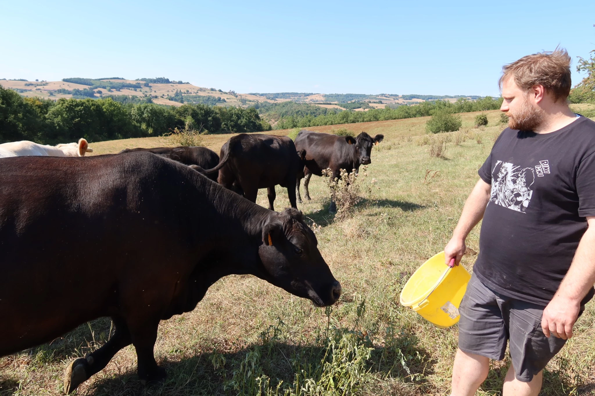 Le coup de foudre d’un chef cuisinier