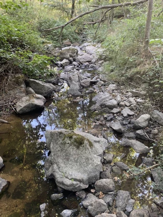 Diminution des restrictions des usages de l'eau en Drôme