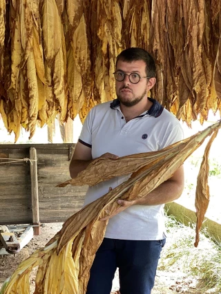 Tabac, asperges et plus encore pour une installation réussie