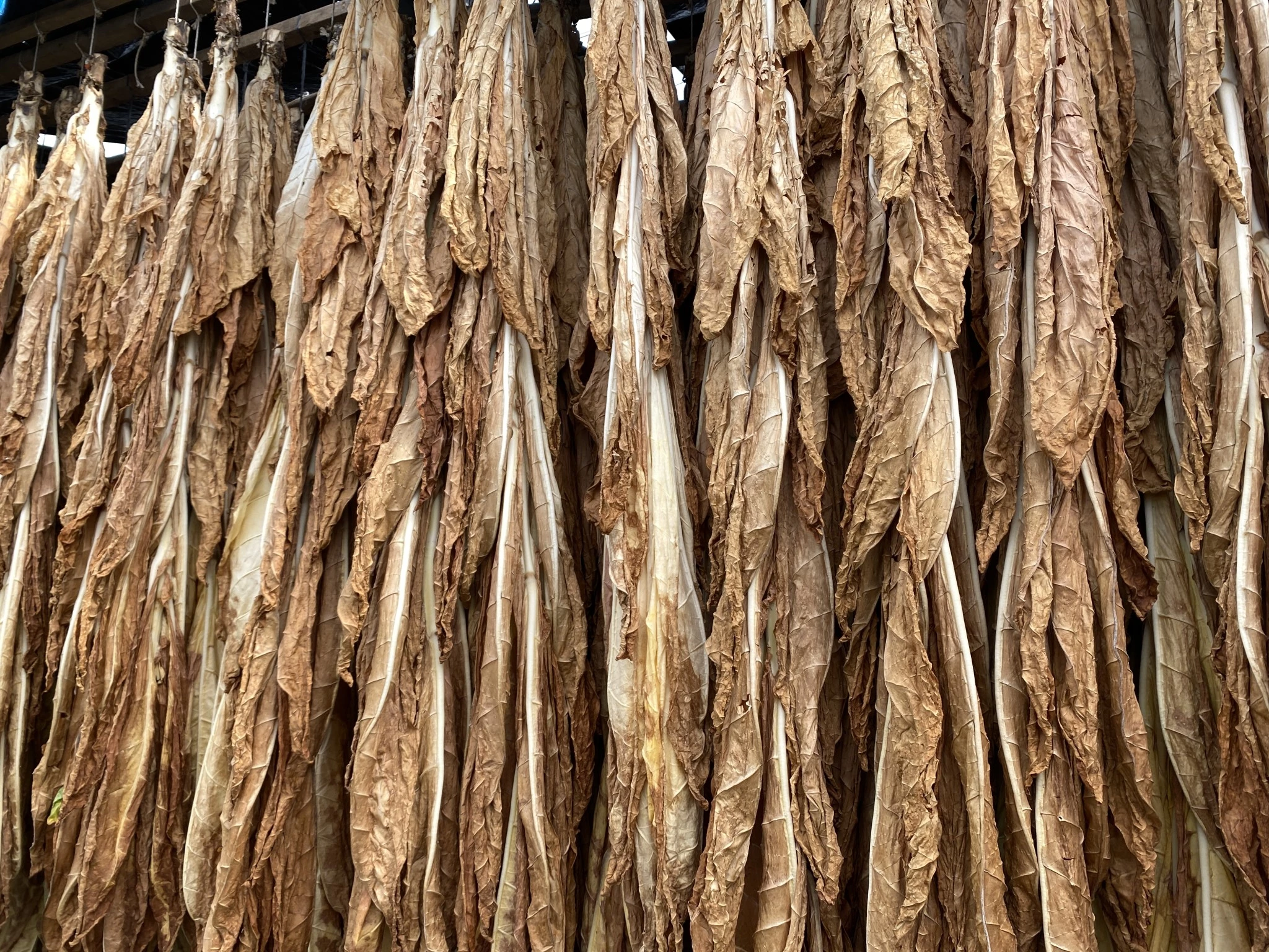 Tabac : 5 000 € de marge a minima
