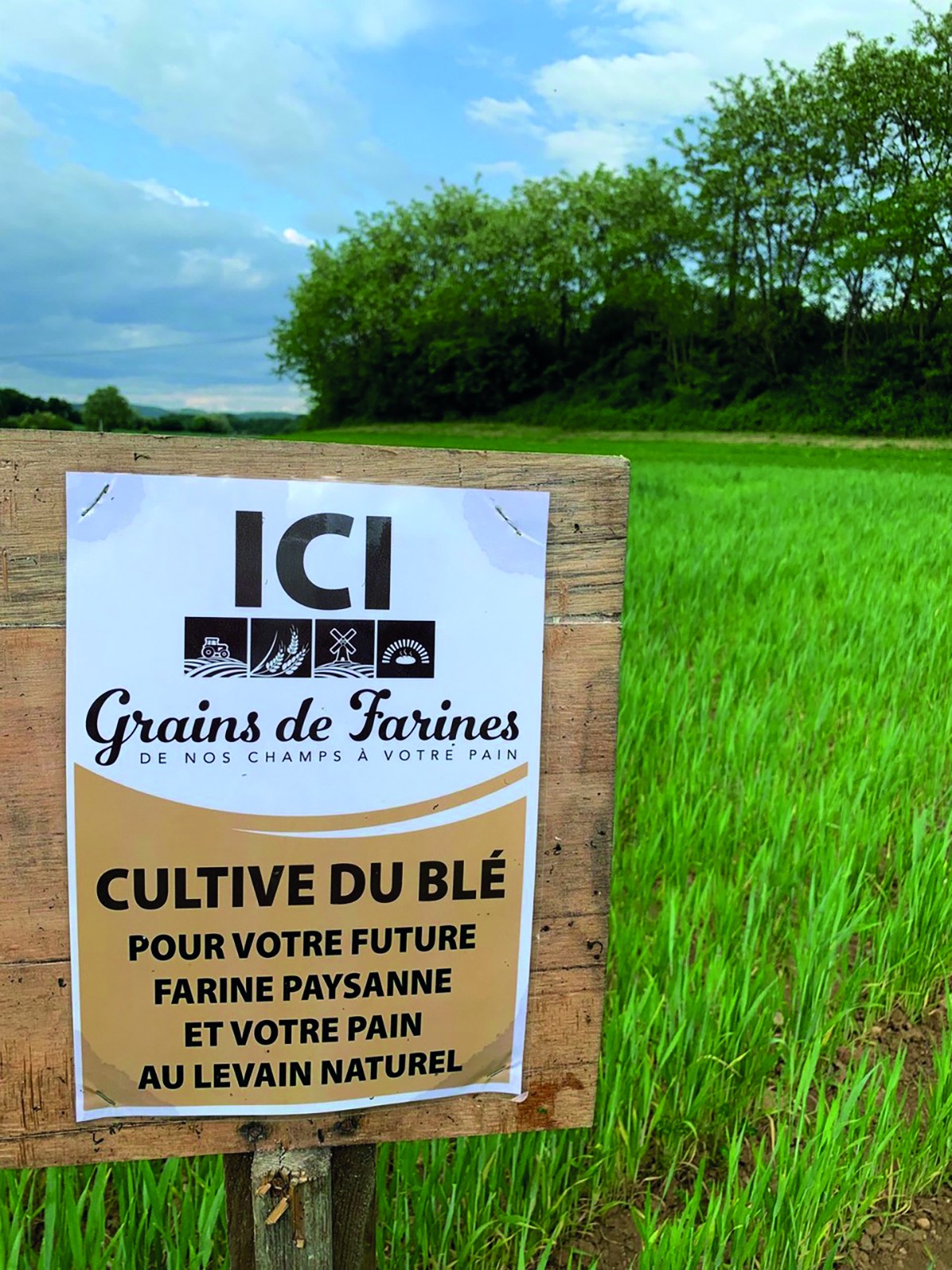 Mûrir et préparer sa conversion en bio