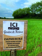 Mûrir et préparer  sa conversion en bio
