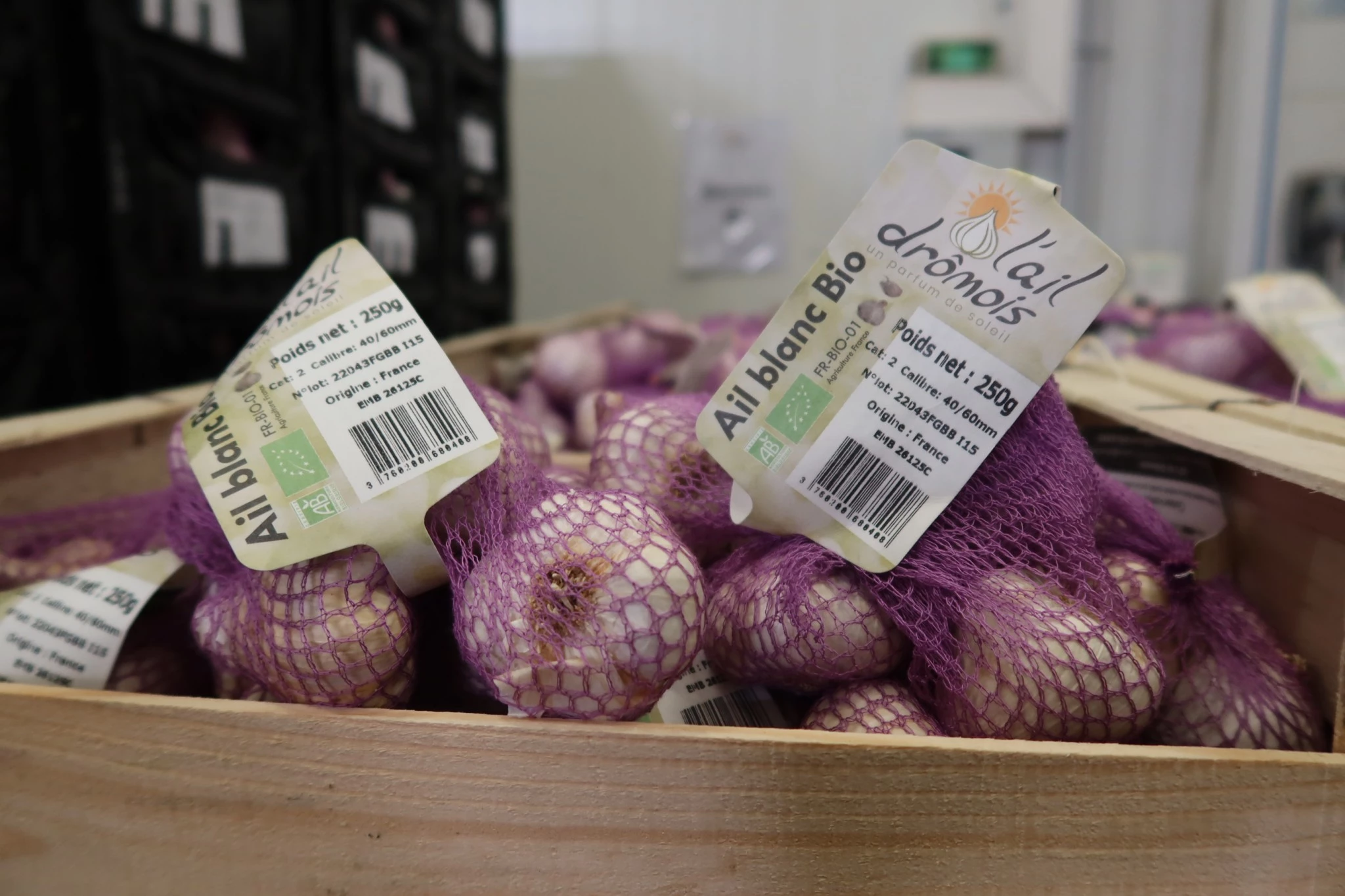 La filière ail appelle à la « bienveillance »