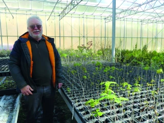 EARL Pépinières Cotte : des chênes truffiers certifiés en Drôme des Collines
