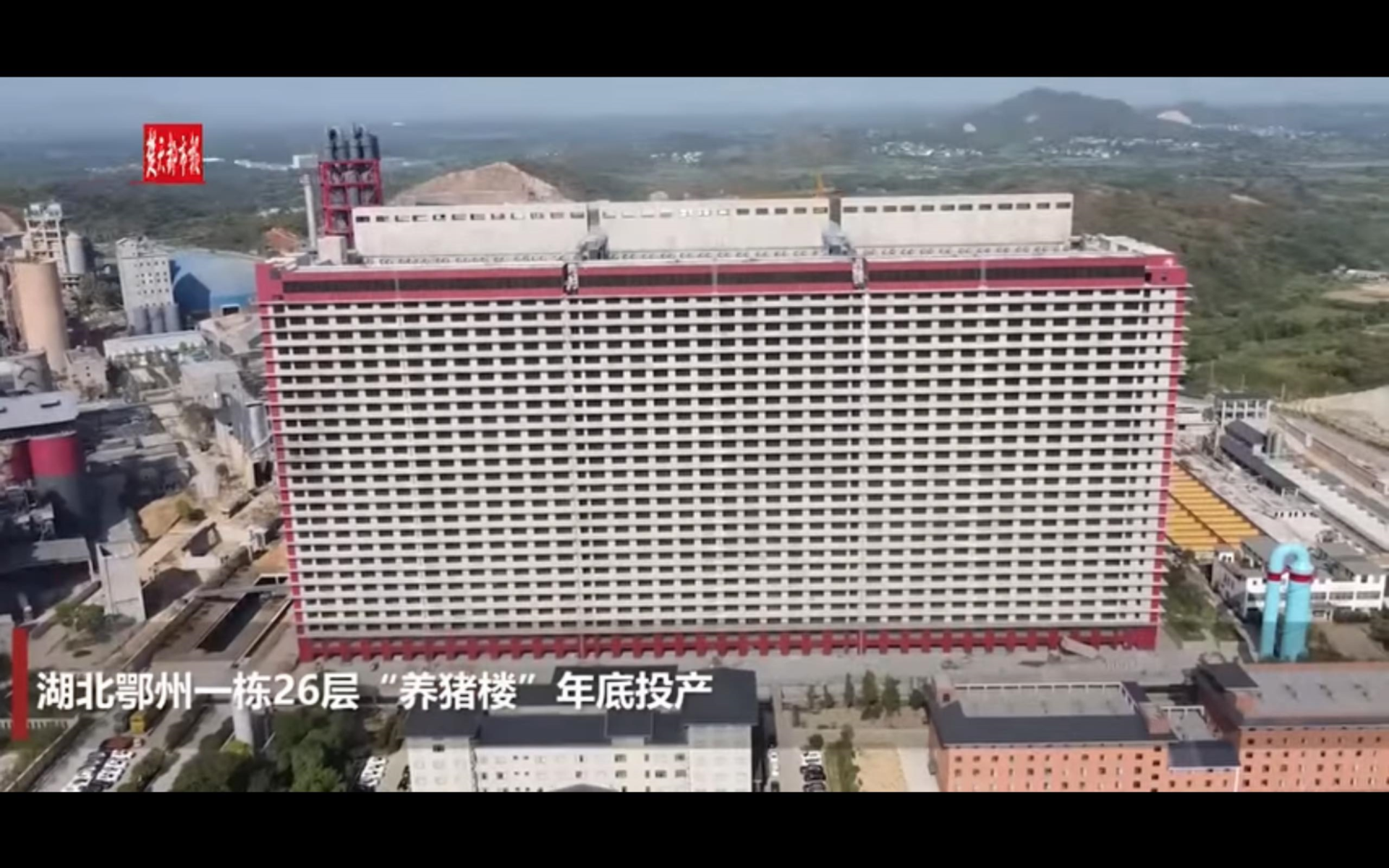 En Chine, une mégaporcherie de 26 étages est en service