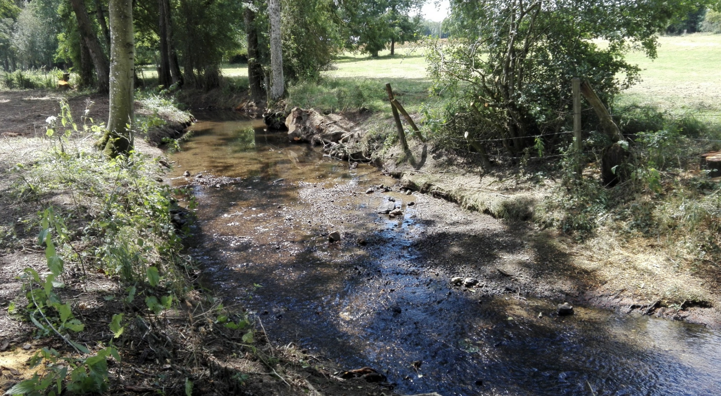 L’Agence de l’eau prône la renaturation des cours d’eau