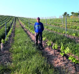Vigne : sortez couverts… végétaux