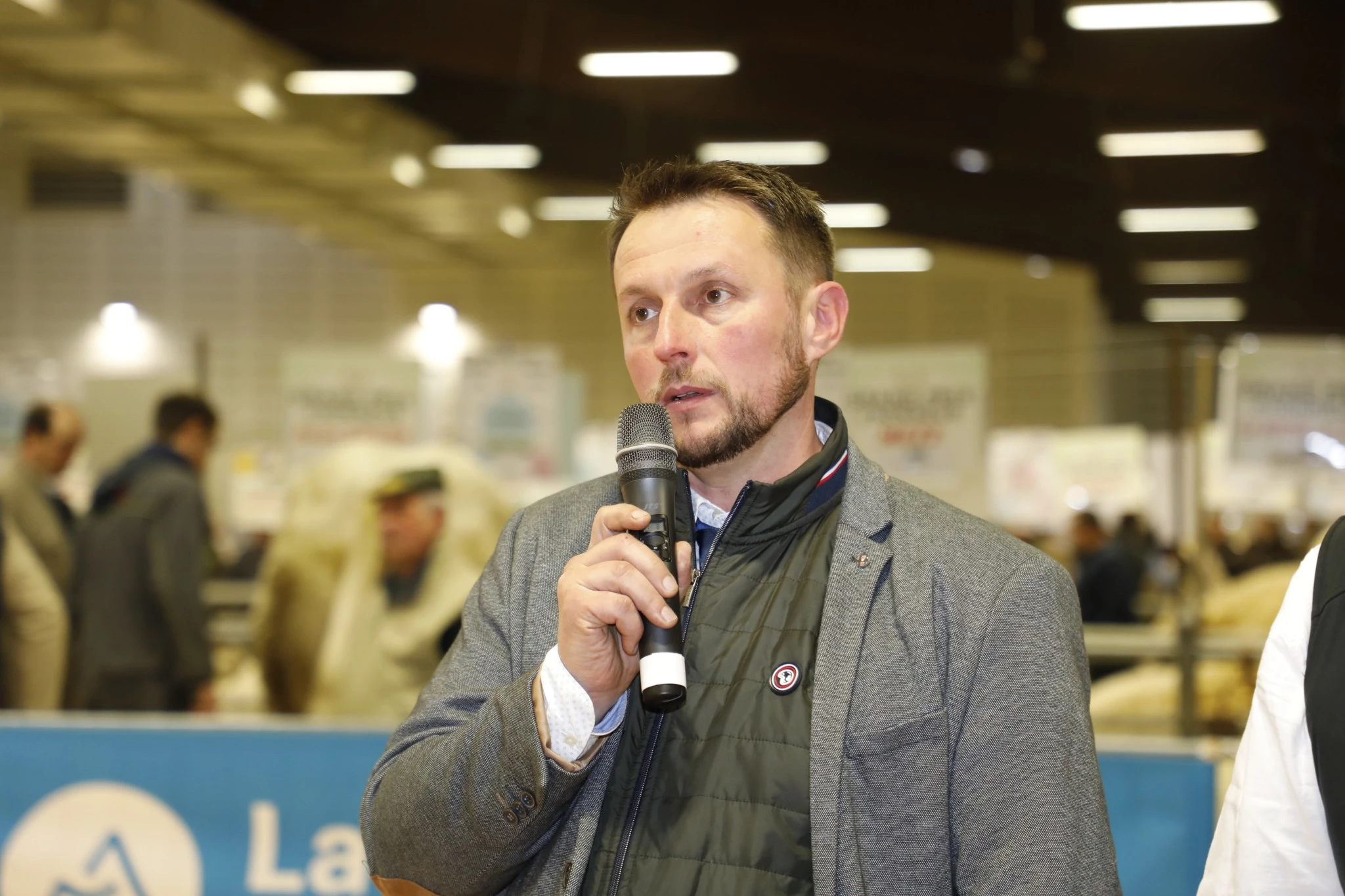 « Moderniser les concours de veaux mâles »