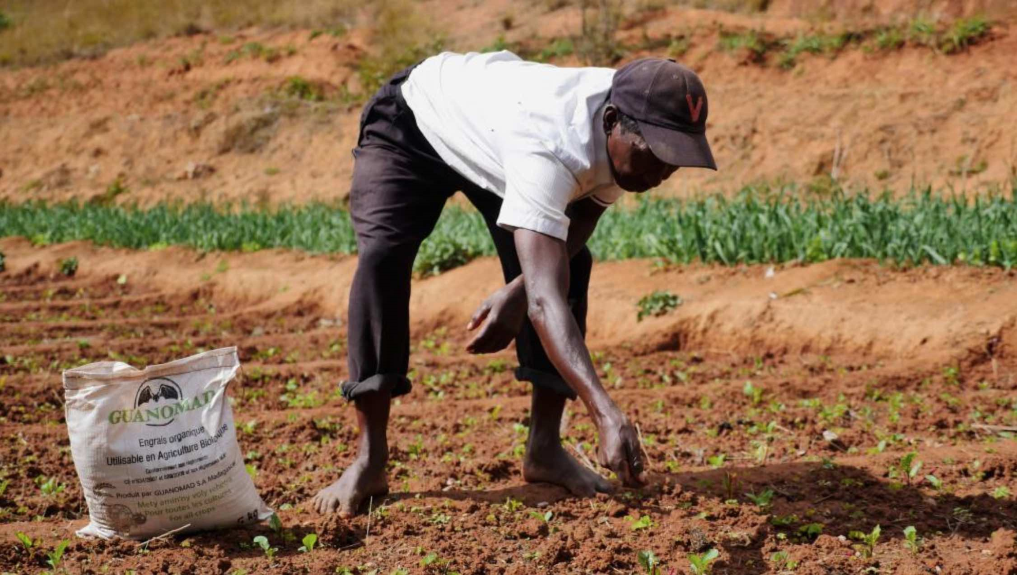 L’Afrique à la recherche d’engrais