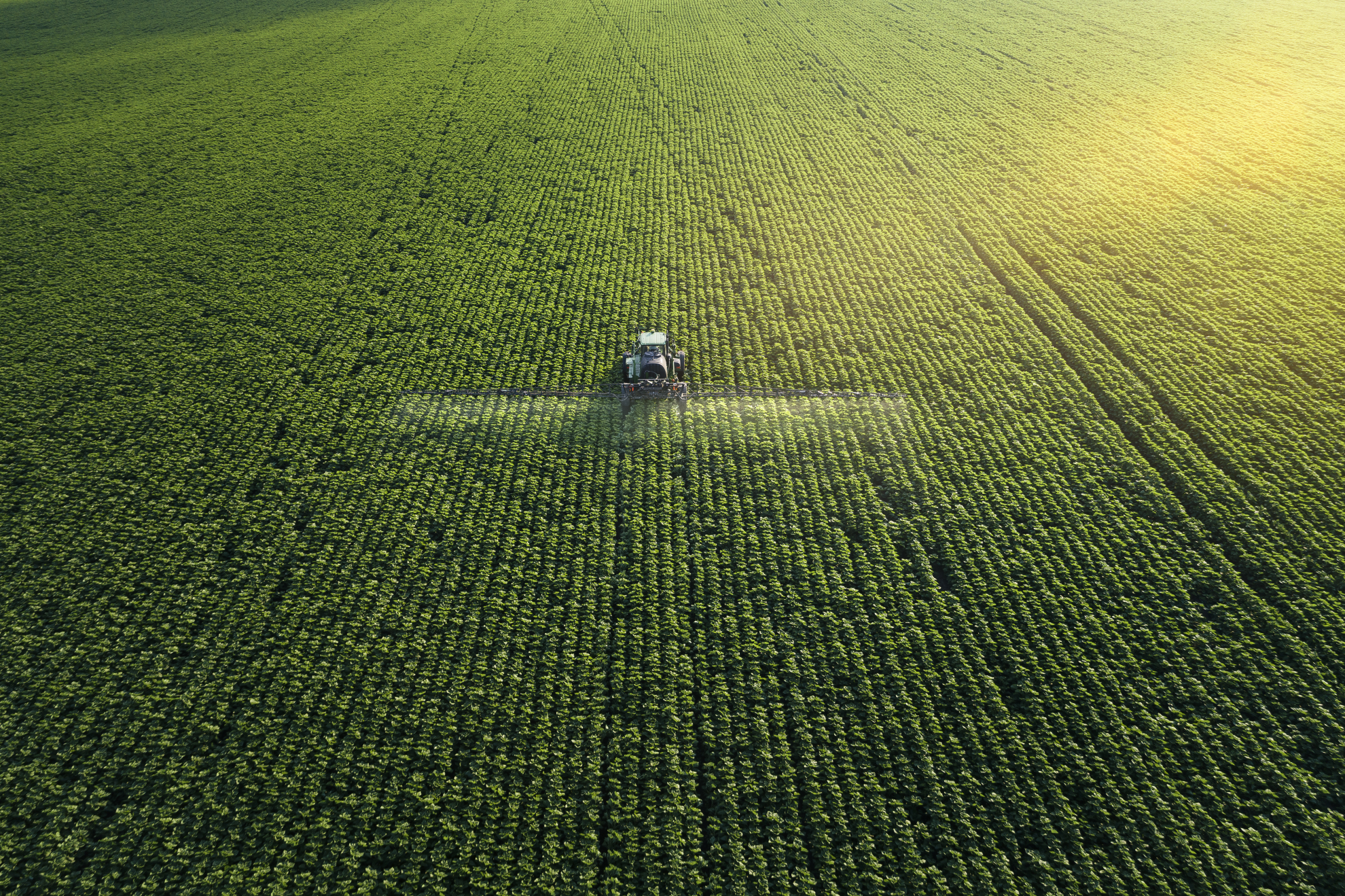 Les ministres de l'Agriculture planchent sur les engrais