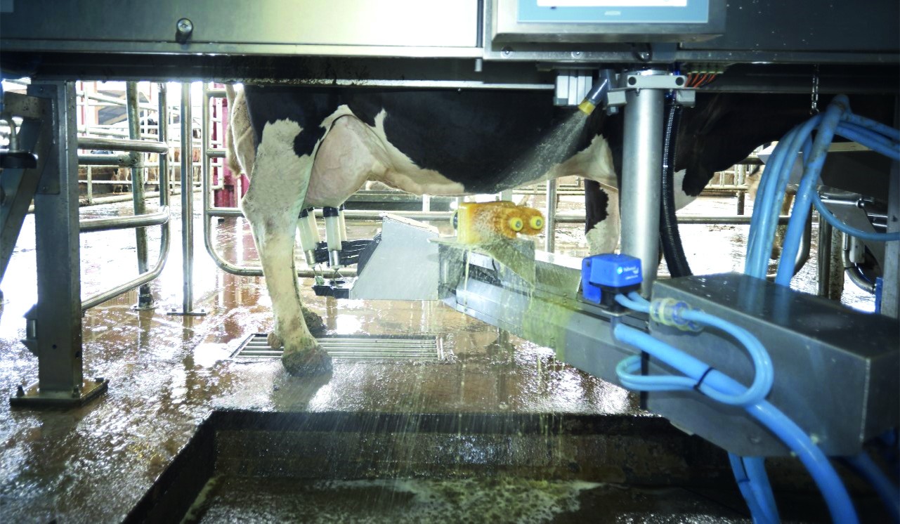 Comment les constructeurs préservent l’hygiène de traite de leur robot ?