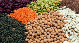Les aliments à base de protéines  végétales gagnent du terrain