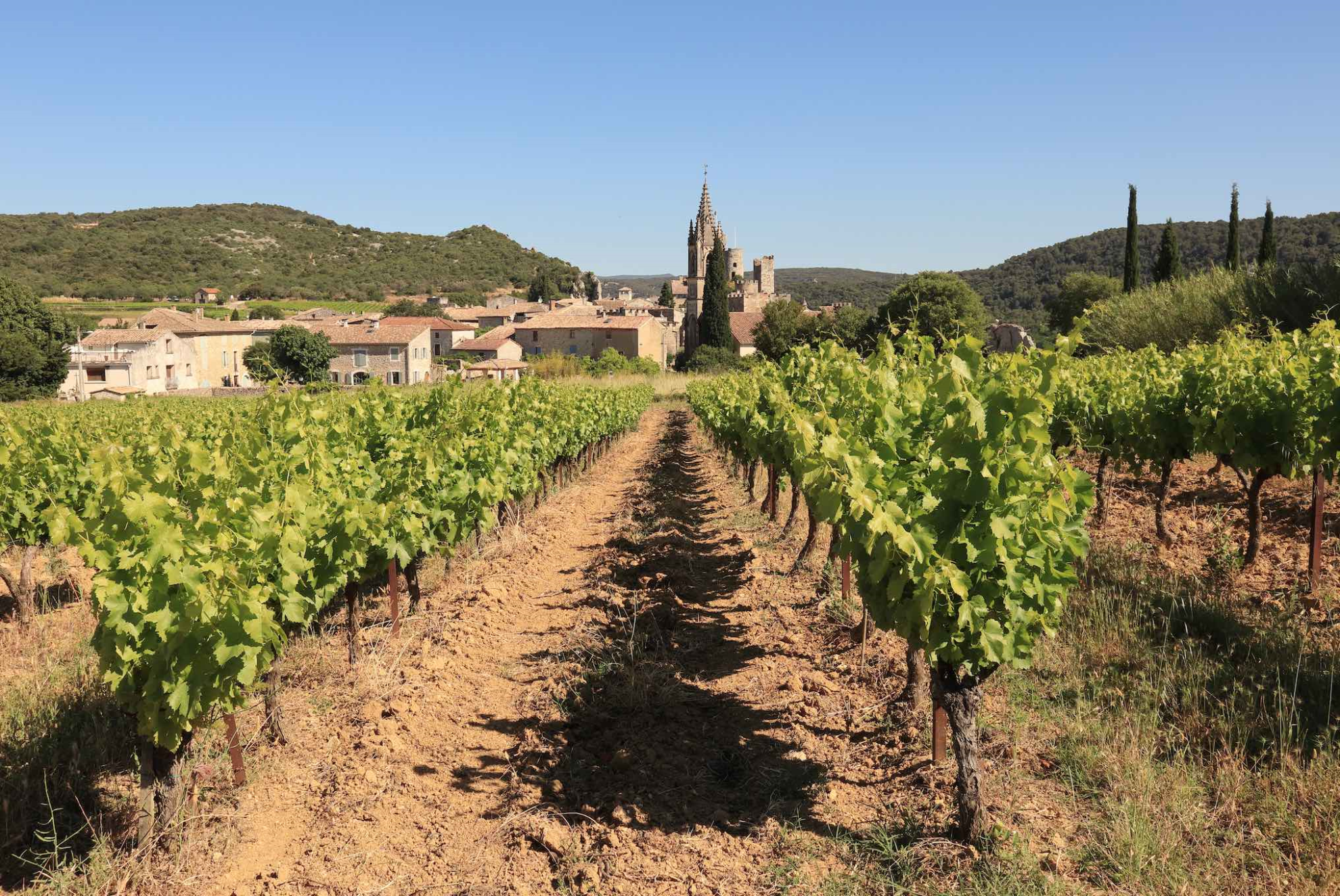 Quelle ruralité pour demain ?