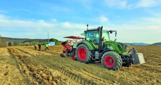 Plantation des vignes :  les règles d’or