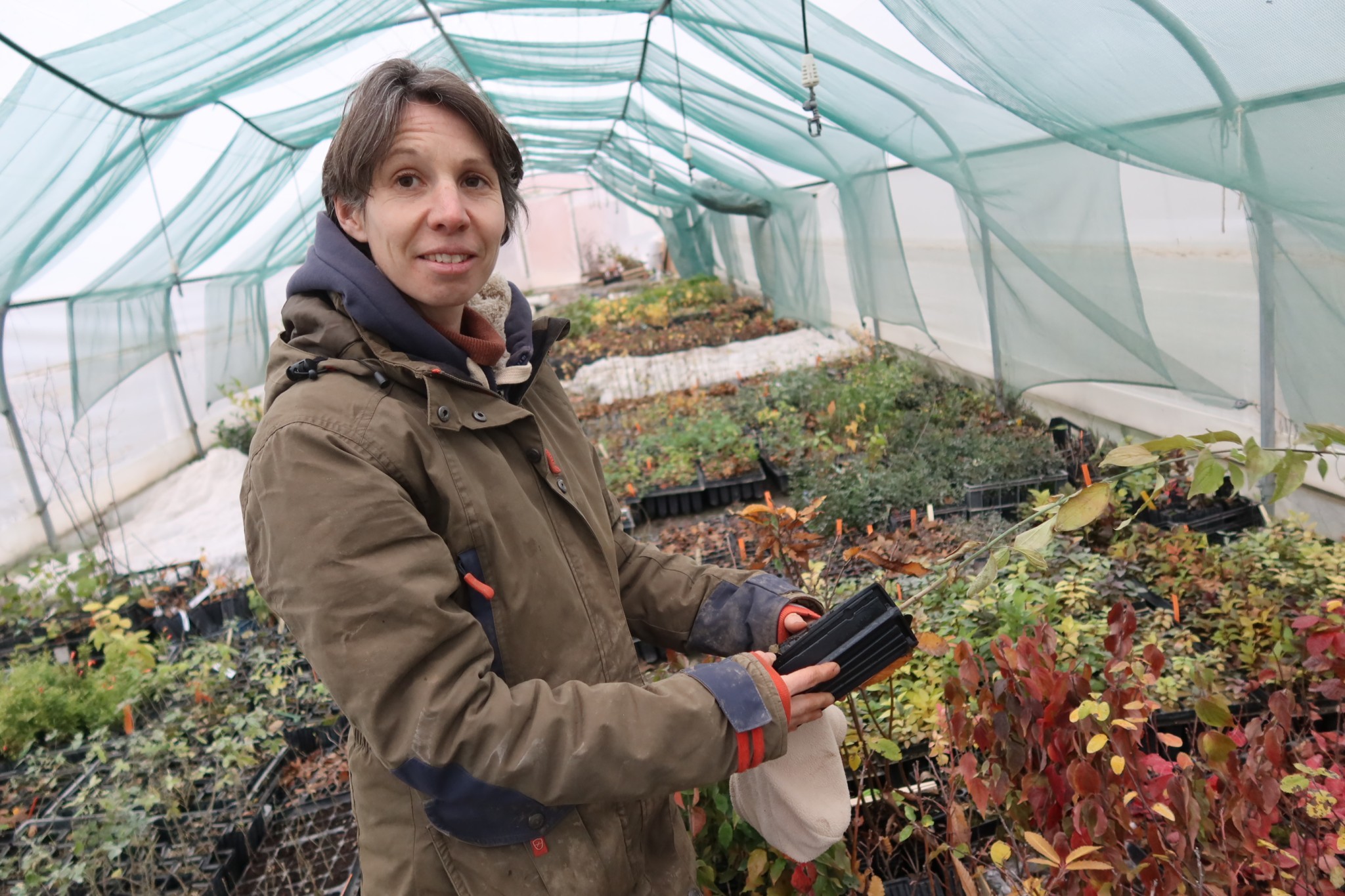 Élise Levasseur : la pépiniériste qui met du local dans vos haies
